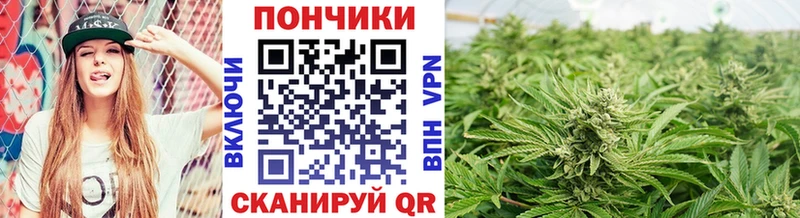Купить наркотик Стародуб Канабис  СК  Гашиш  Галлюциногенные грибы  КОКАИН 